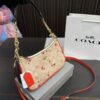 Replica Coach Bag 12*23CM