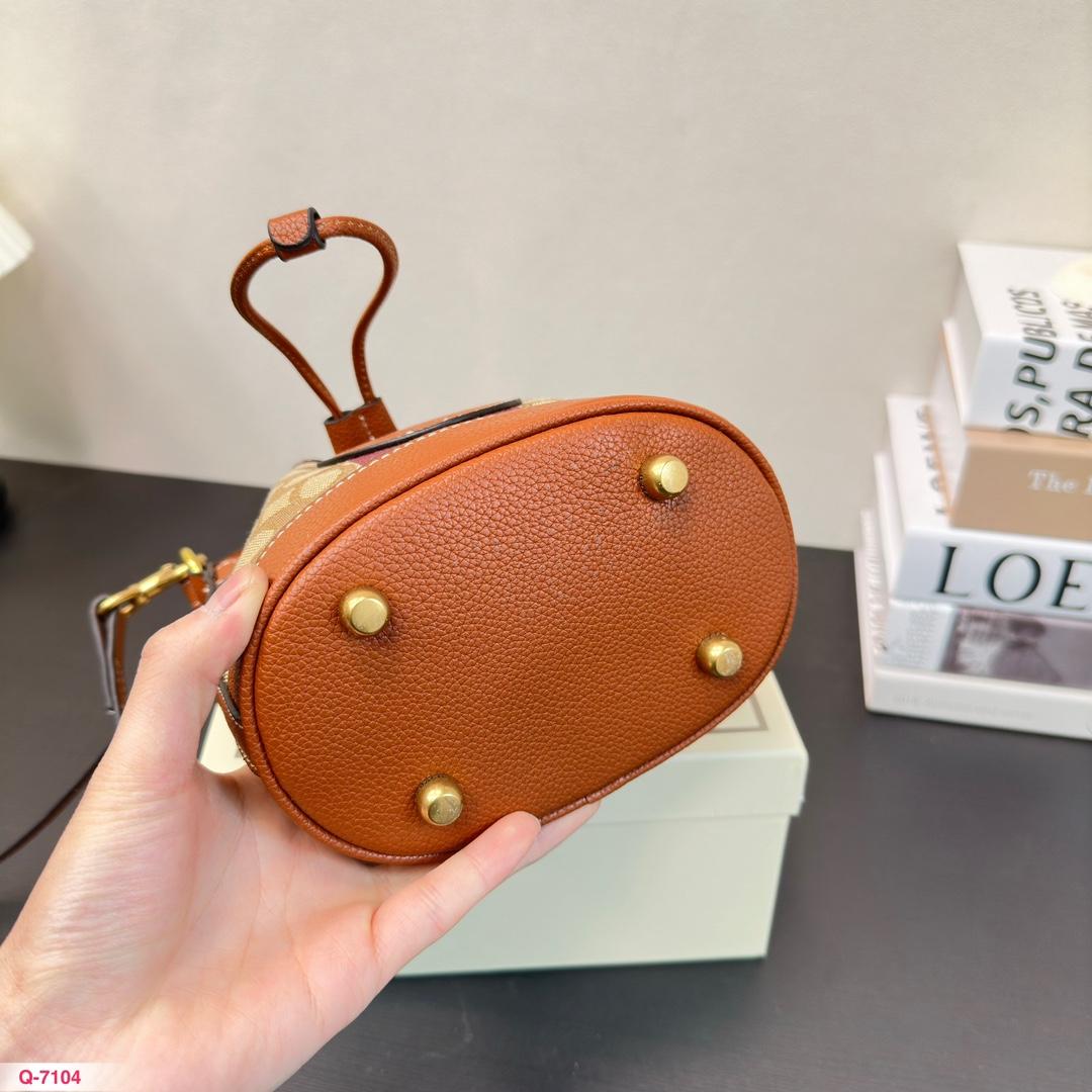 Replica Coach Bag 17*17CM