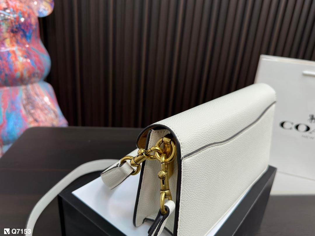 Replica Coach Bag 13*25CM