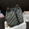 Replica Dior Bag  19*16CM/22*24CM