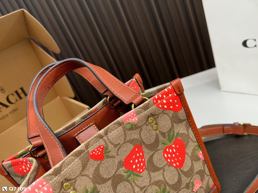 Replica Coach Bag 21*21CM
