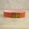 Replica DIOR belt