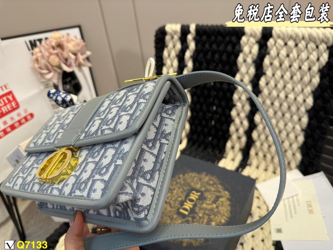 Replica Dior Bag 21*15CM