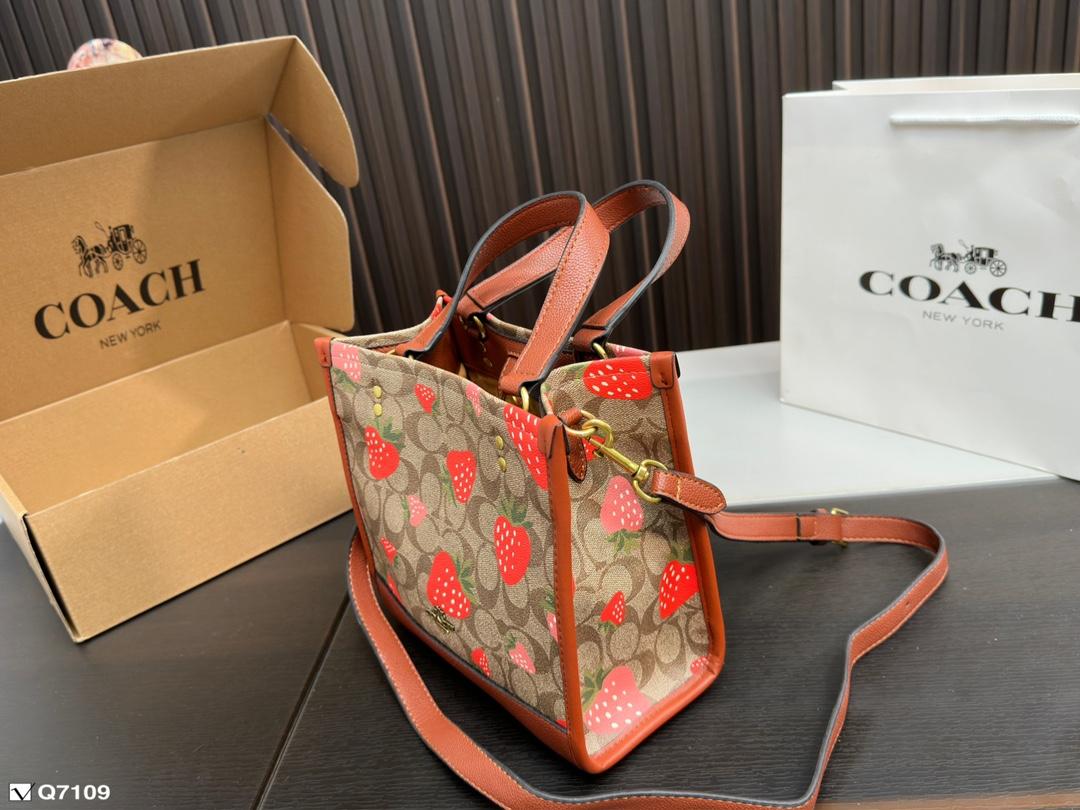 Replica Coach Bag 21*21CM