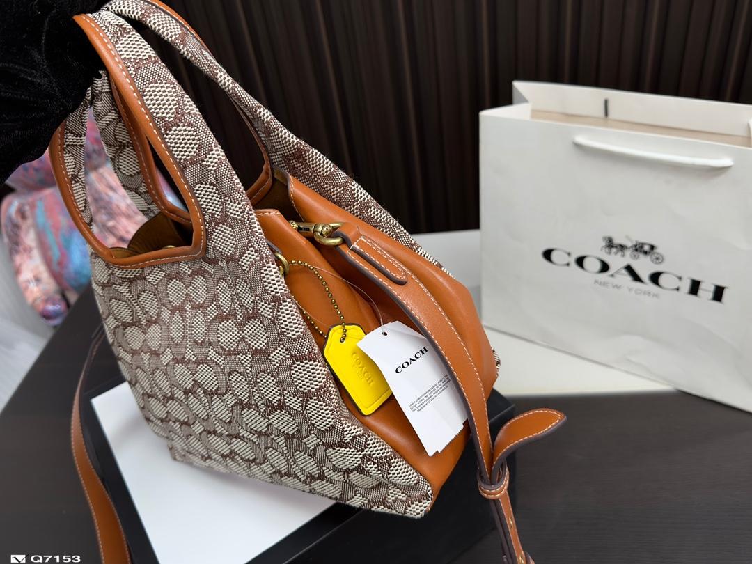Replica Coach Bag 25*18CM