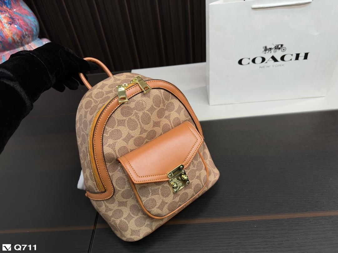 Replica Coach Bag 22*24CM