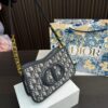 Replica Dior Bag 23*13CM