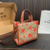 Replica Coach Bag 21*21CM