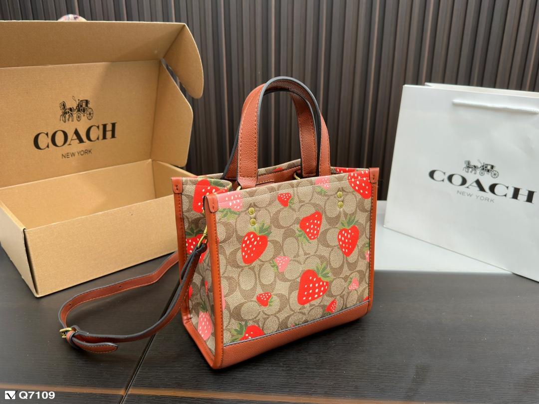 Replica Coach Bag 21*21CM