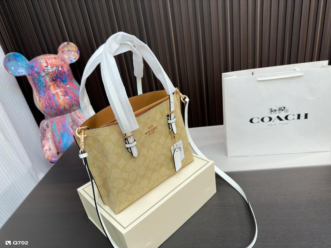 Replica Coach Bag 25*20CM