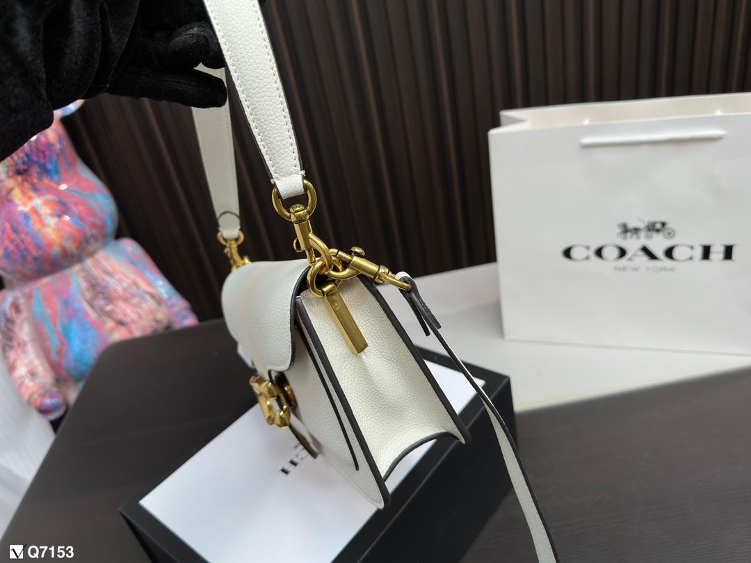 Replica Coach Bag 13*25CM