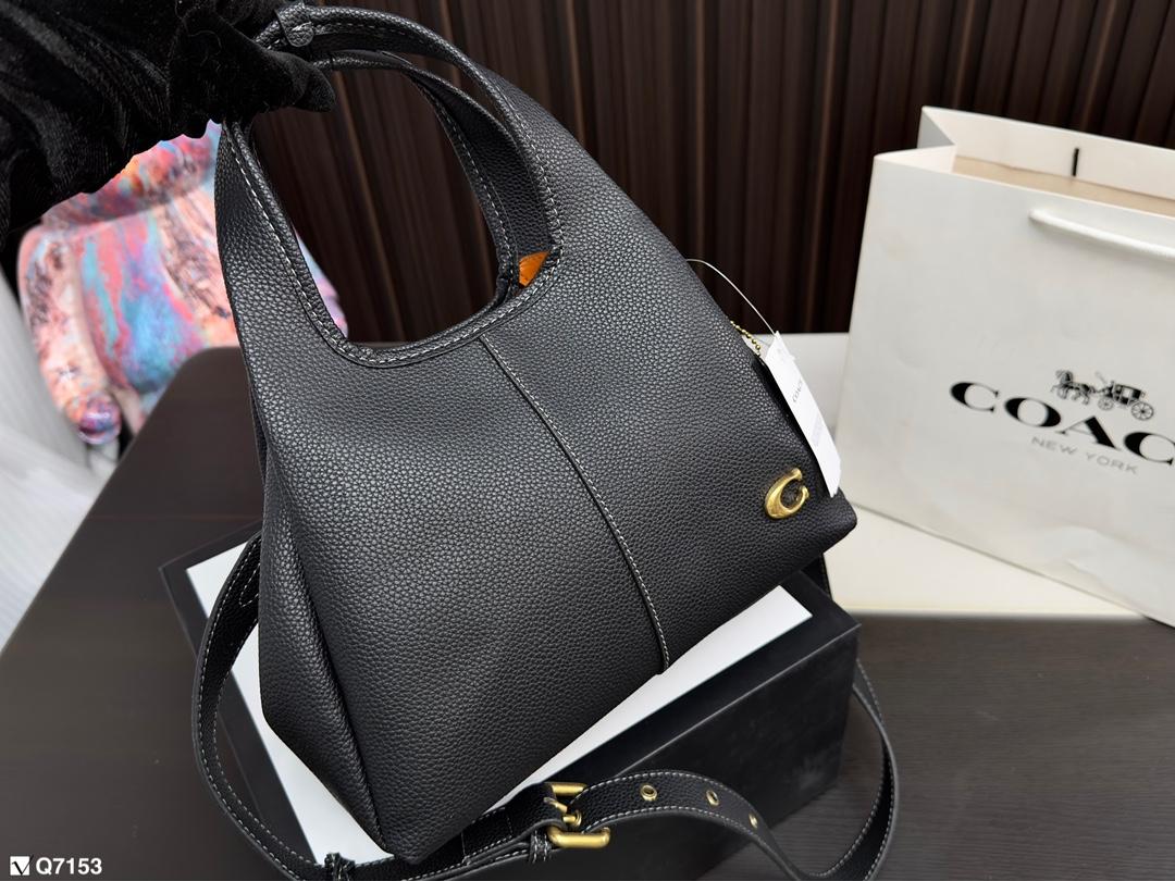 Replica Coach Bag 25*18CM
