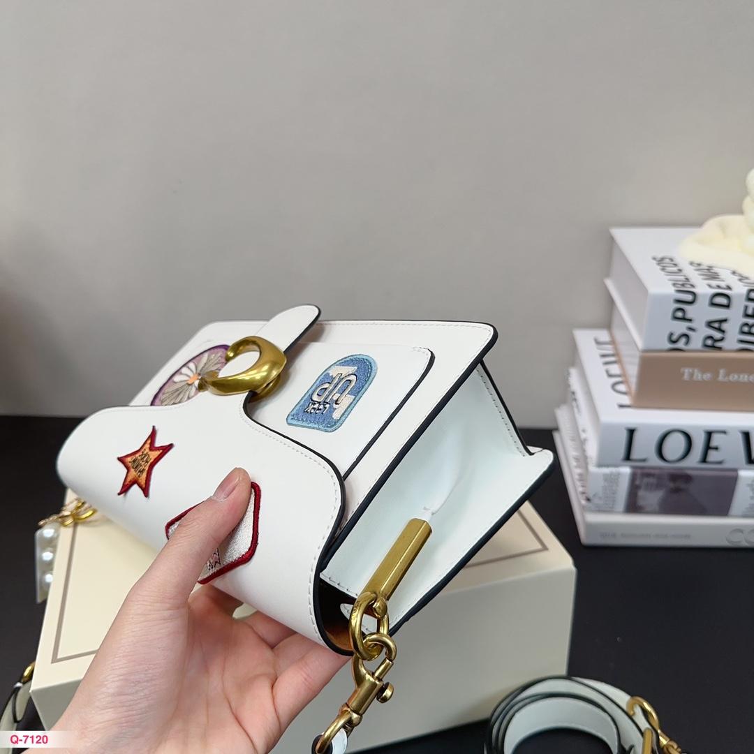 Replica Coach Bag 14*26CM
