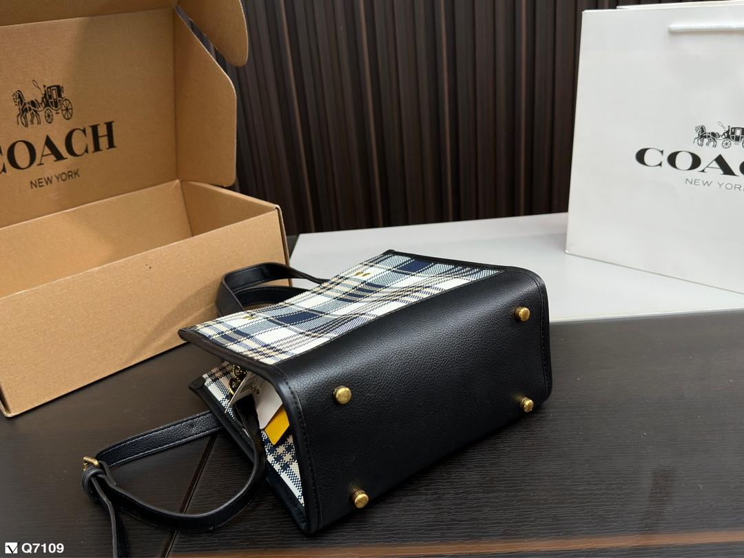 Replica Coach Bag 21*21CM