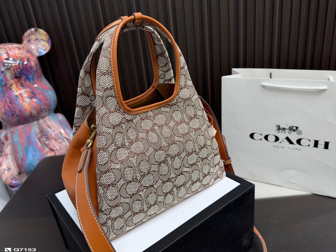 Replica Coach Bag 25*18CM