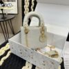 Replica Dior Bag  17CM