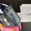 Replica Coach Bag 21CM