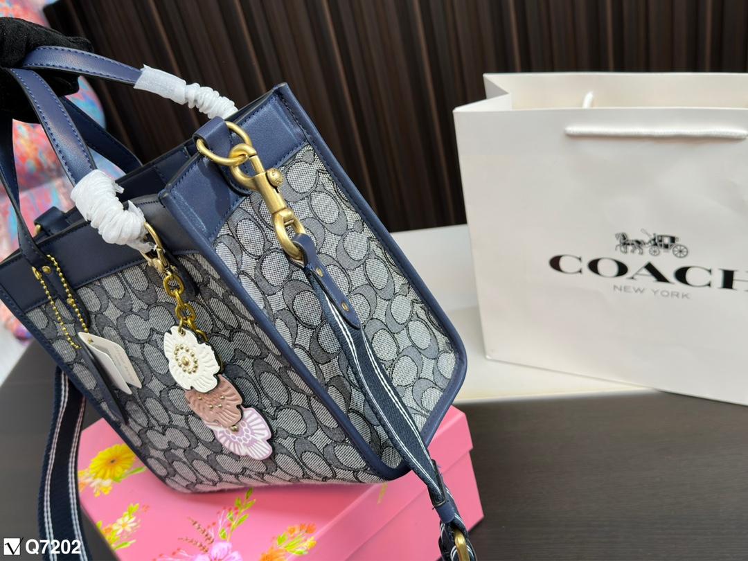 Replica Coach Bag 21CM