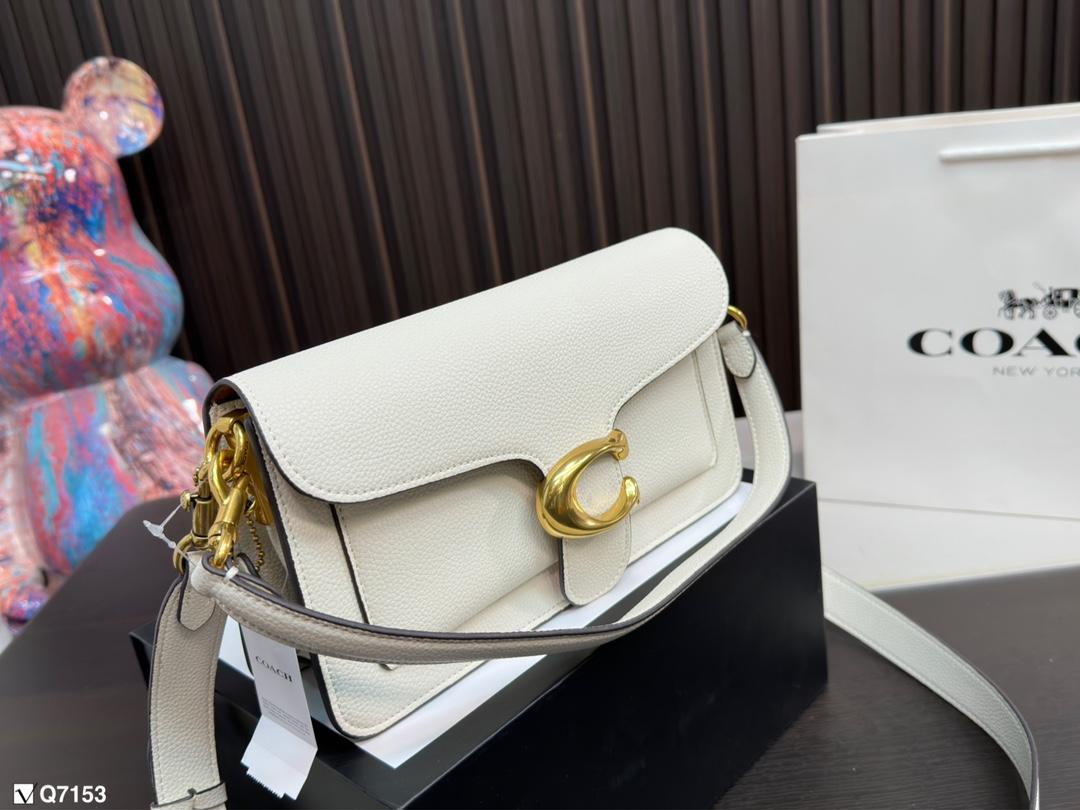 Replica Coach Bag 13*25CM