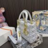 Replica Dior Bag 17*20CM
