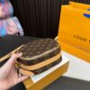 Replica Louis Vuitton Bag 17*16CM