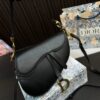 Replica Dior Bag 24*21CM