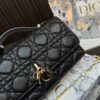 Replica Dior Bag 10*21CM