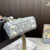 Replica Dior Bag  17*15CM/24*20CM