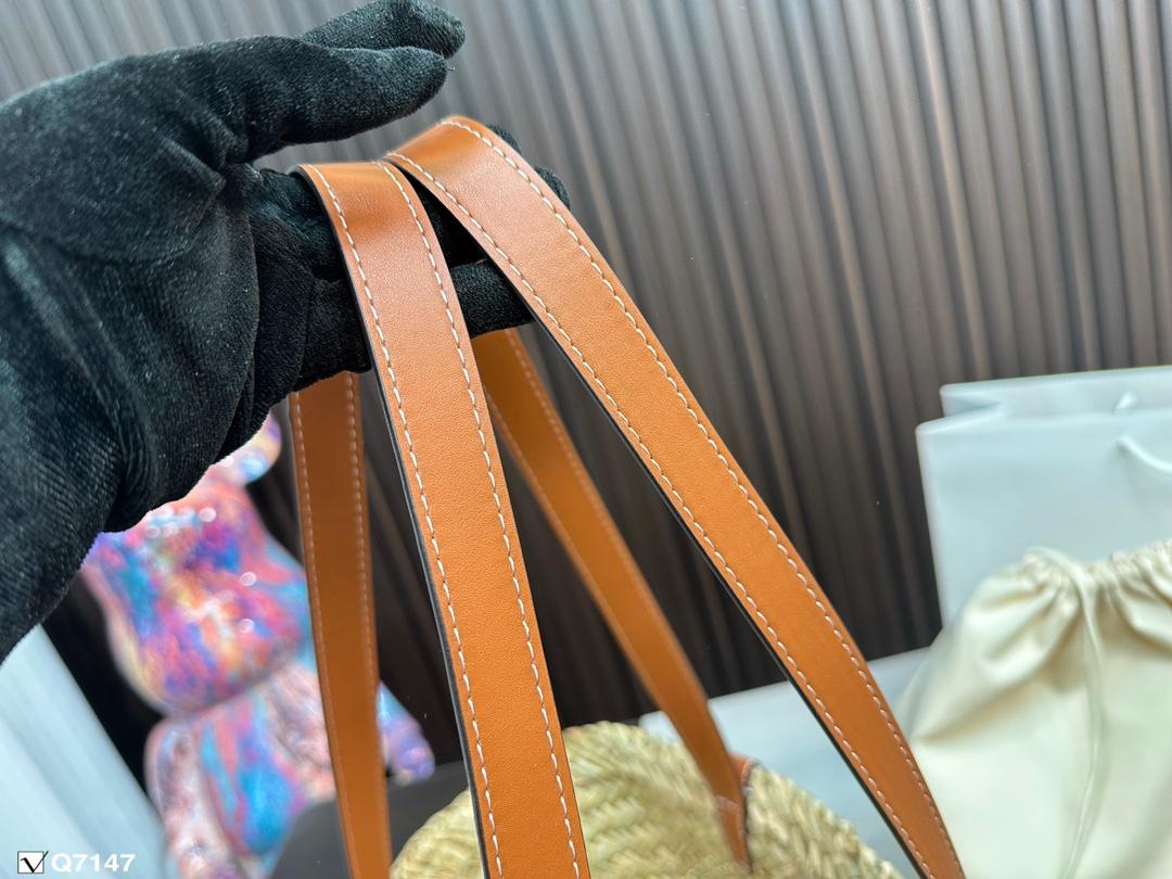 Replica Celine Bag  19*19CM/27*27CM