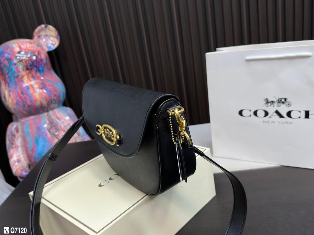 Replica Coach Bag 22*17CM