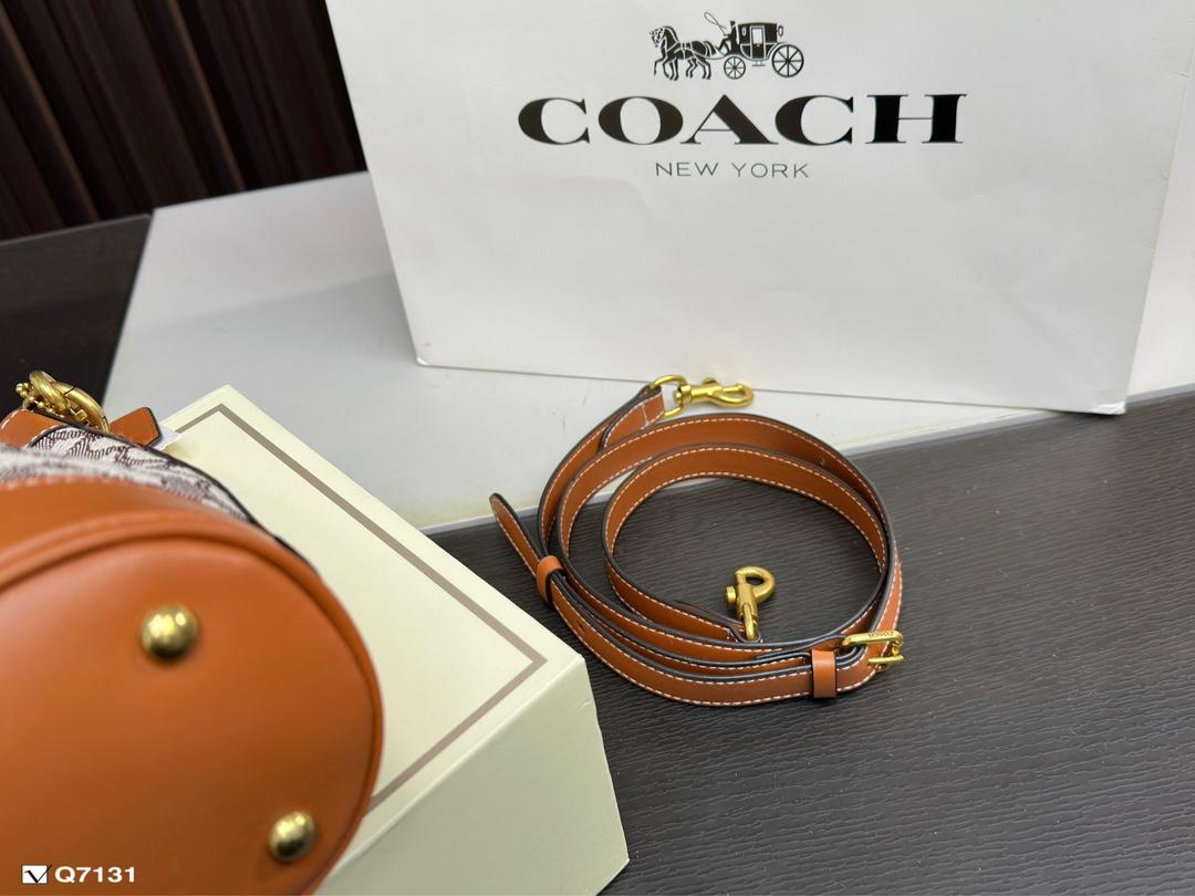 Replica Coach Bag 14*18CM