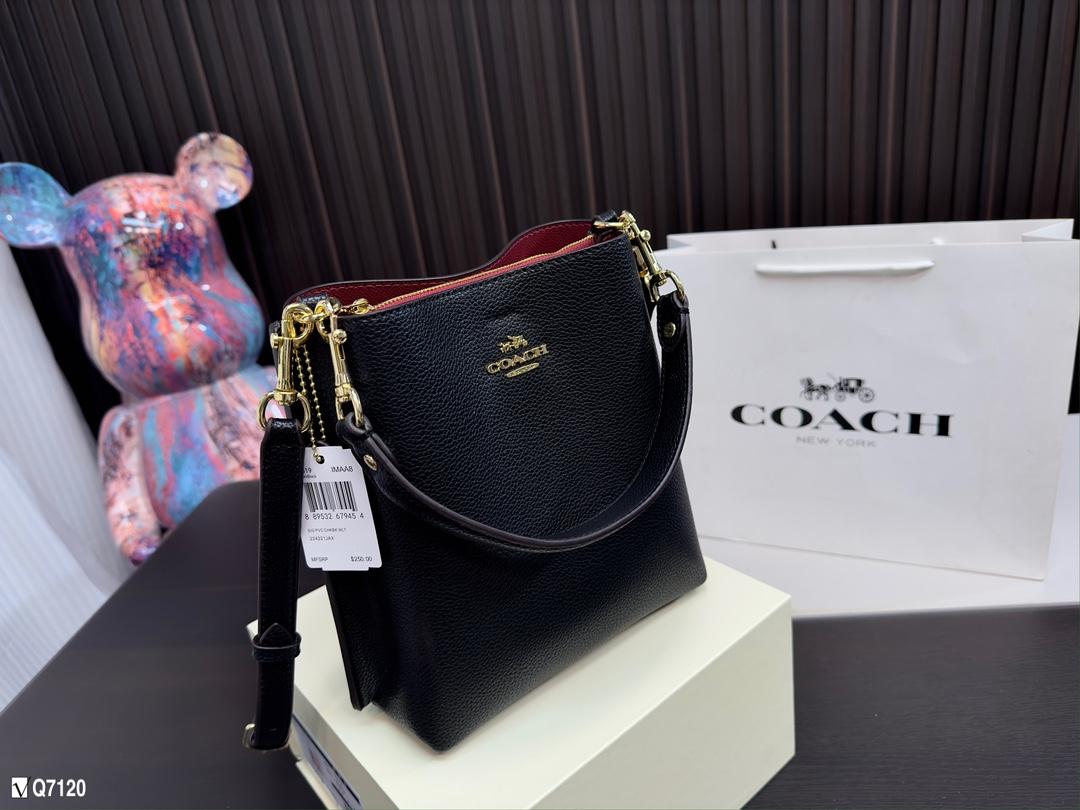 Replica Coach Bag 20*22CM