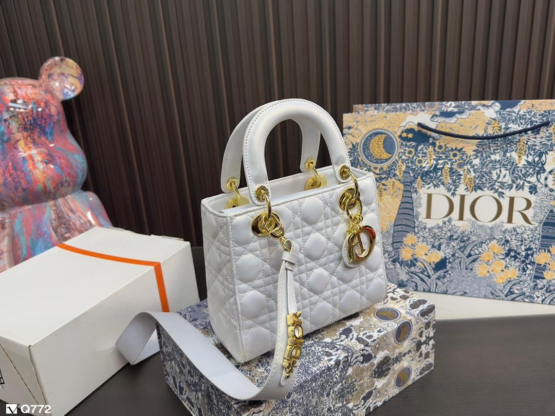 Replica Dior Bag 17*20CM