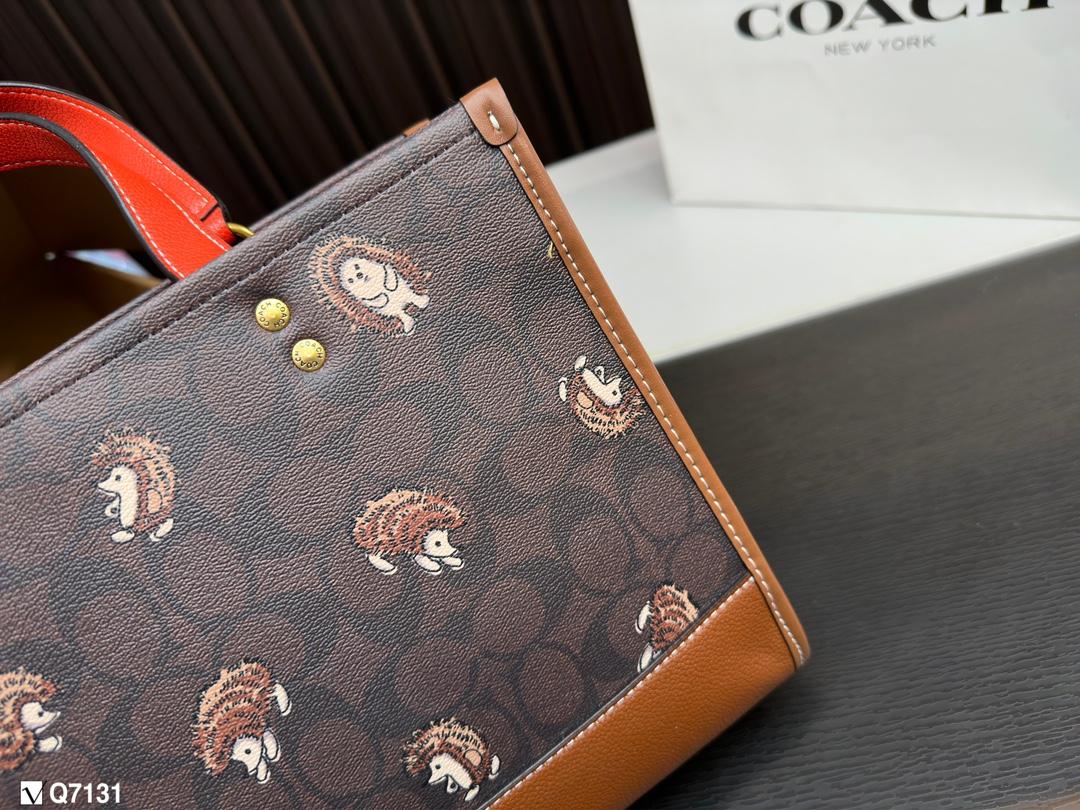 Replica Coach Bag 22*29CM