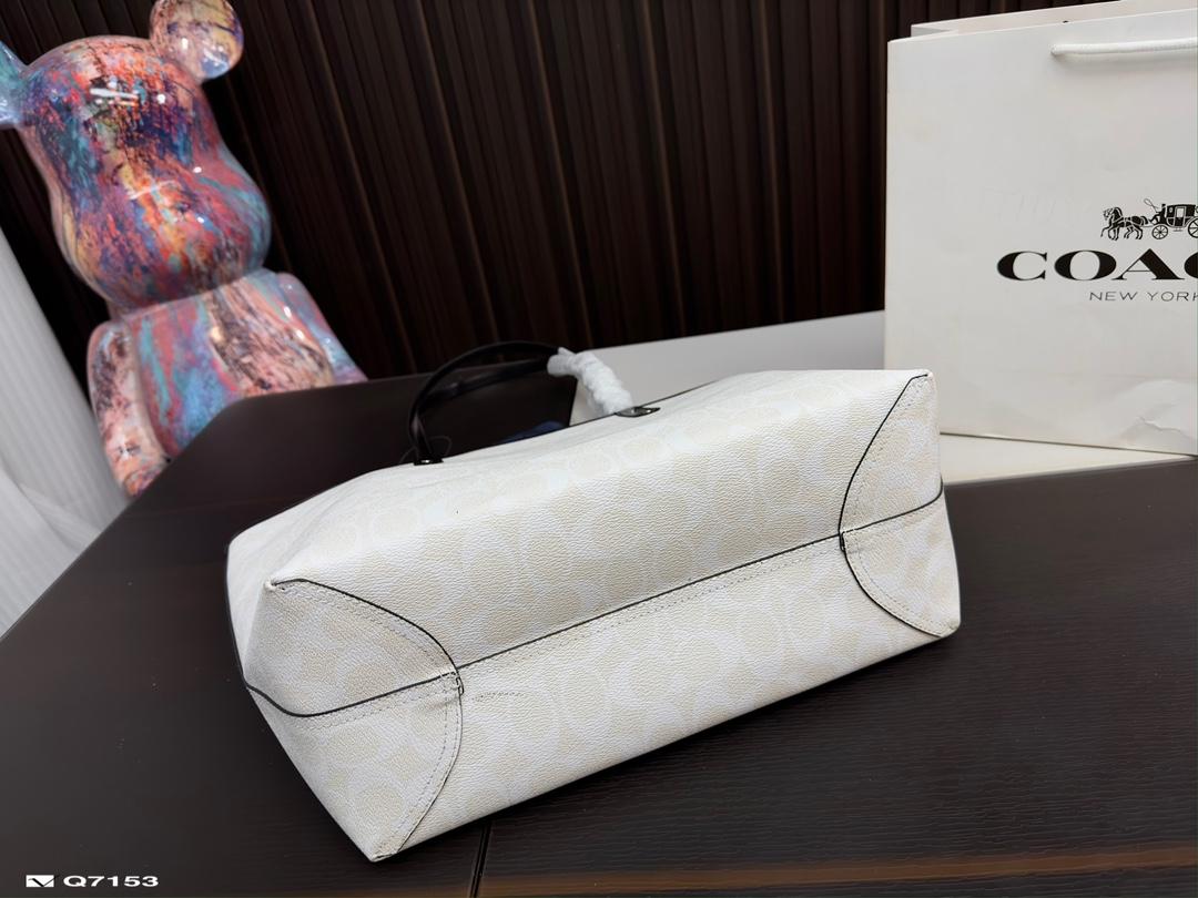 Replica Coach Bag 32*29CM