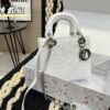 Replica Dior Bag 17CM/20CM