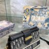Replica Dior Bag 24*19CM