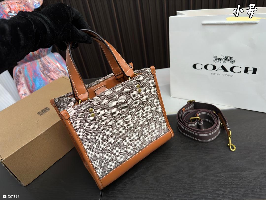 Replica Coach Bag 21*20CM