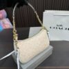 Replica Coach Bag 12*23CM