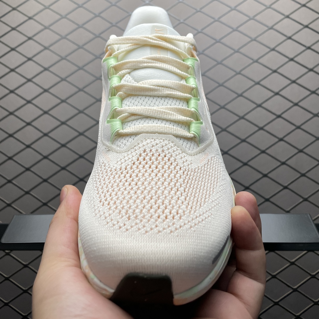 Replica Nike Shoe Nike Air Zoom pegasus 41  HM5539-133 size 36-40