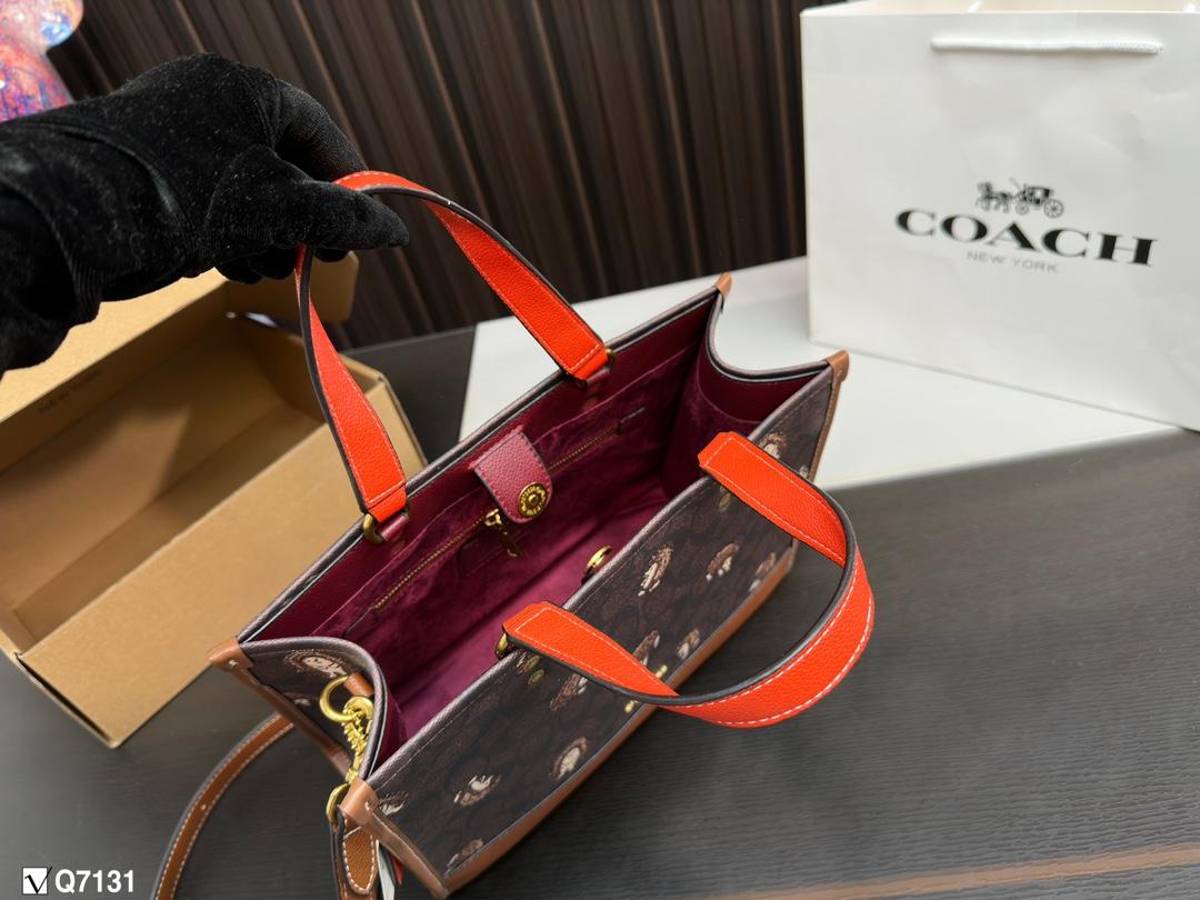 Replica Coach Bag 22*29CM