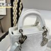 Replica Dior Bag 17CM/20CM