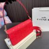 Replica Coach Bag 14*25CM