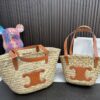 Replica Celine Bag  19*19CM/27*27CM