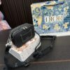 Replica Dior Bag 12*17CM