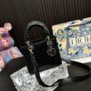 Replica Dior Bag 17*7*14CM