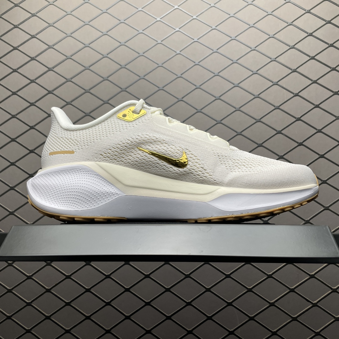 Replica Nike Shoe Nike Air Zoom pegasus 41 FD2723-005