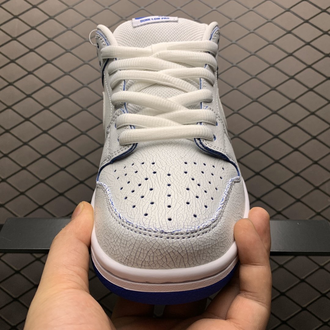 Replica Nike Dunk SB Shoe Nike SB Dunk Low PRM  CJ6884-100 Size 36-45