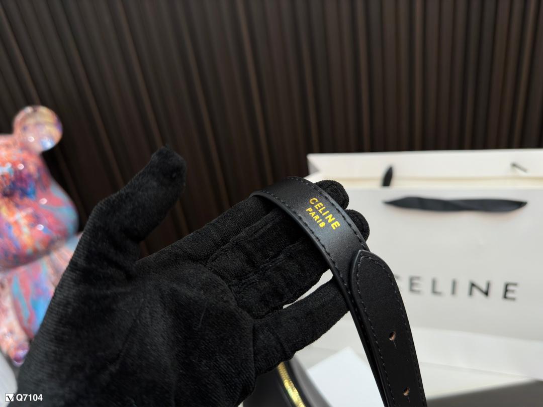 Replica Celine Bag 23*13CM
