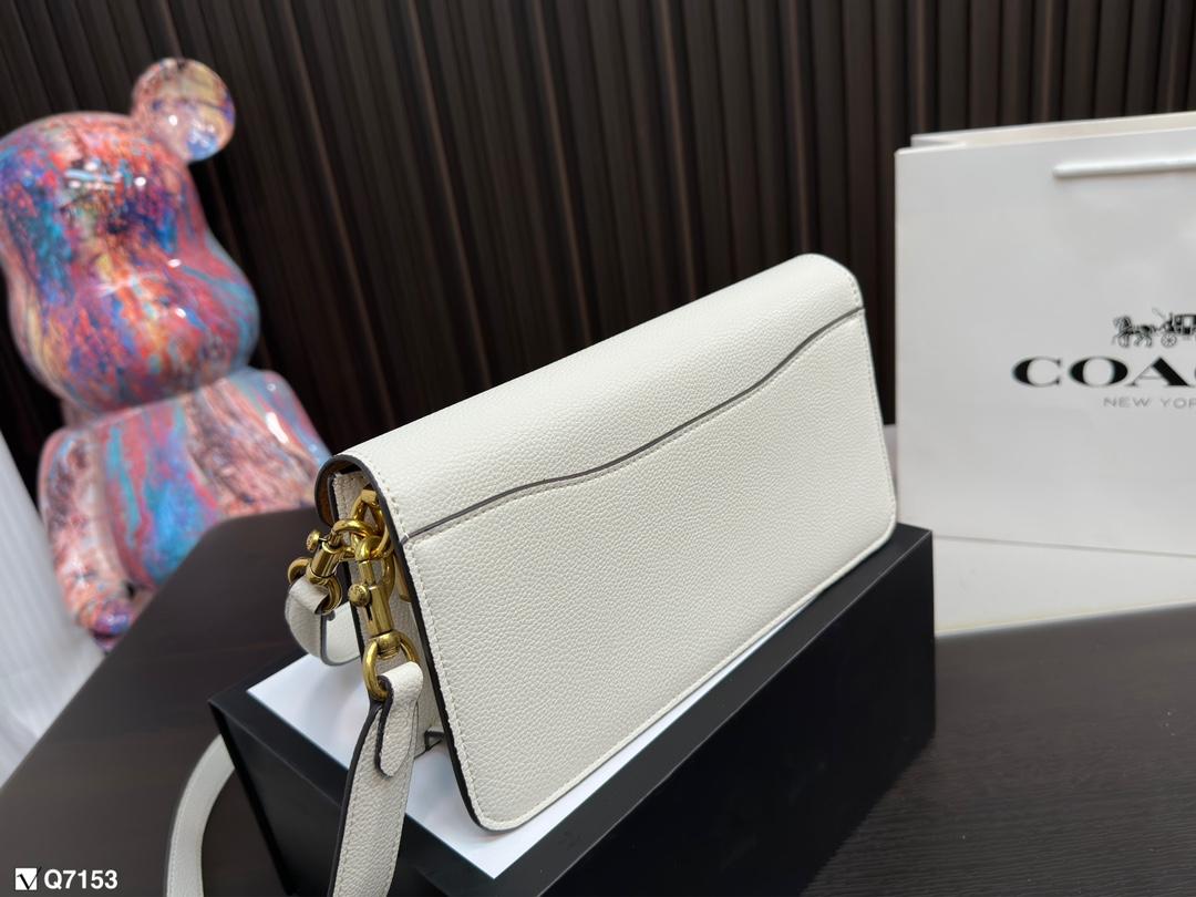 Replica Coach Bag 13*25CM